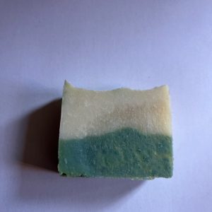 Green Dragon Shampoo Bar